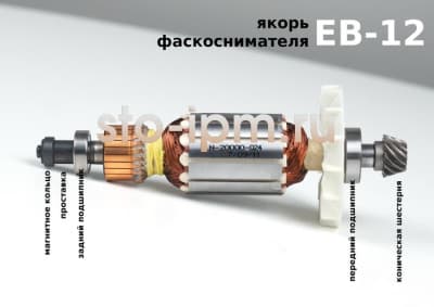 Якорь фаскоснимателя EB-12 укомплектованный шестерней, подшипниками, магнитным кольцом